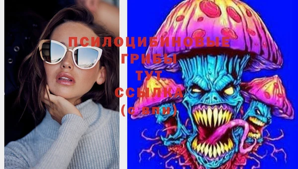 соль курить ск Алексеевка