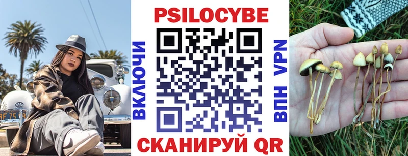 мориарти клад  цена   Кумертау  Галлюциногенные грибы ЛСД 